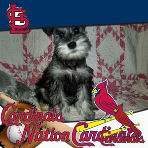 Meet your Posher, Glenn